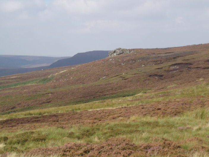Bull Stones Bull Stones